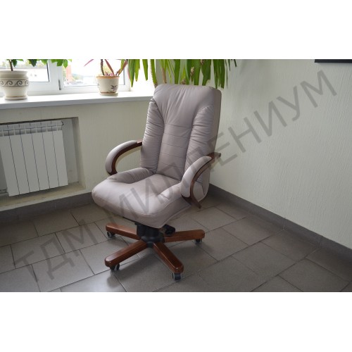 Кресло руководителя Tango A Multi-office (натуральная кожа) высокая спинка