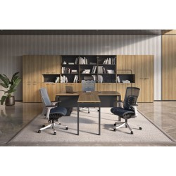 Кабинет руководителя Evolution