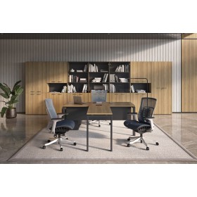 Кабинет руководителя Evolution