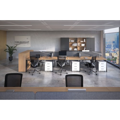 Кабинет руководителя Evolution