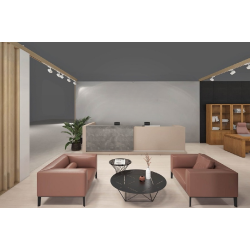 Стойка ресепшн Genesis