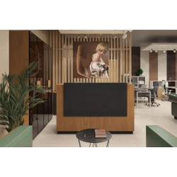 Стойка ресепшн Kyu DM