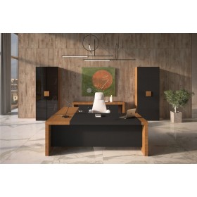 Кабинет руководителя Kyu DM