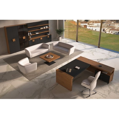 Кабинет руководителя Kyu DM