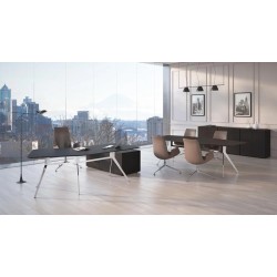 Кабинет руководителя SuperJet DM (Россия)