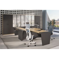 Кабинет руководителя Tower