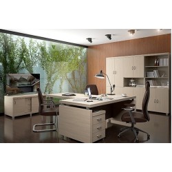 Кабинет руководителя Модерн