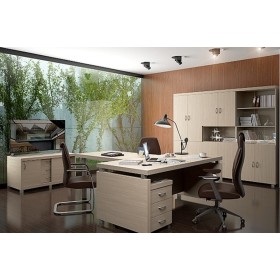 Кабинет руководителя Модерн