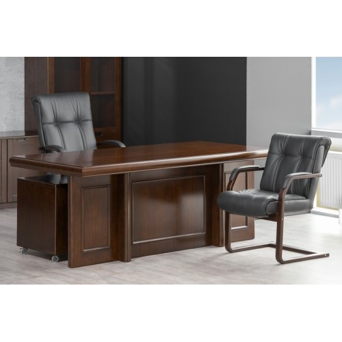 Кабинет руководителя Princeton