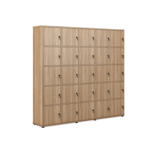 Локер на 25 ячеек (5х5 дверей) Evolution EVL436