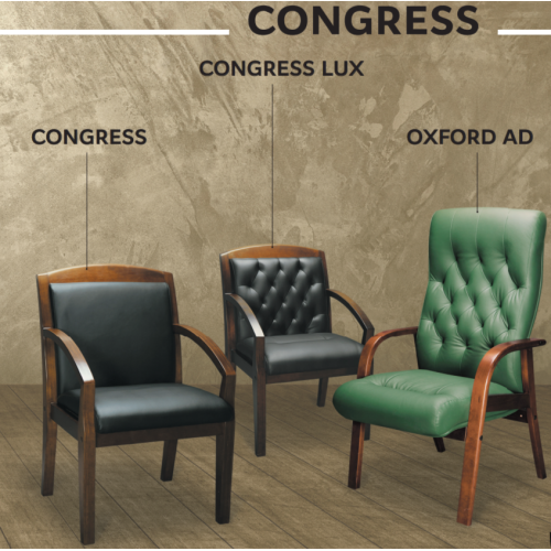 Стул для посетителя Congress  (Натуральная кожа)