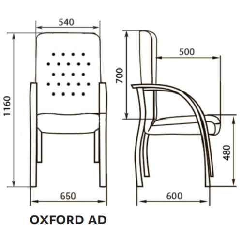 Стул для посетителя Oxford AD (Натуральная кожа)