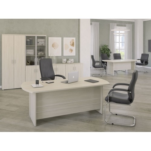 Кабинет руководителя Bonn