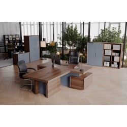 Кабинет руководителя Concept