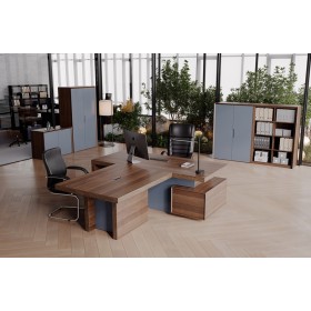 Кабинет руководителя Concept