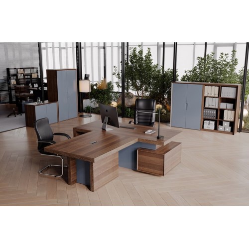 Кабинет руководителя Concept