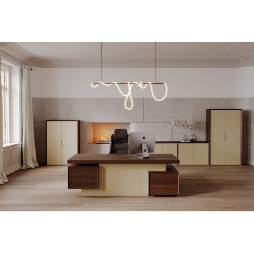 Кабинет руководителя Concept