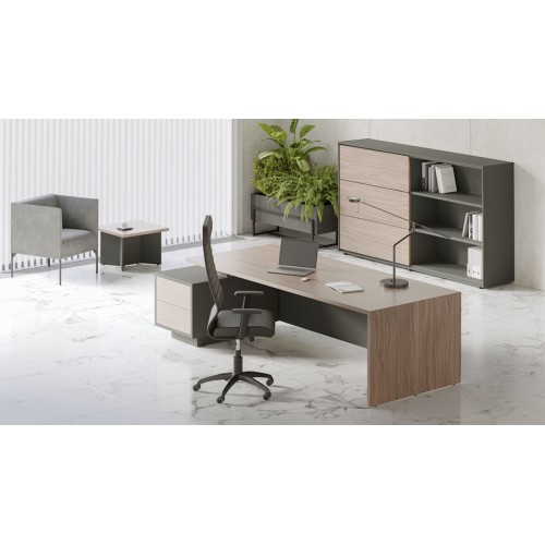 Кабинет руководителя Dali