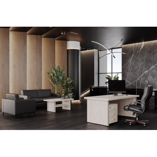 Кабинет руководителя Monza