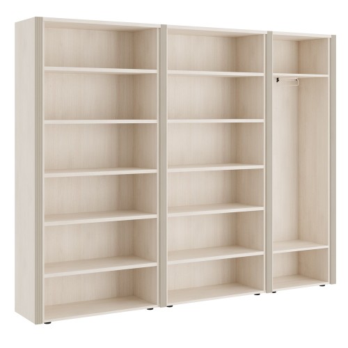 Шкаф для бумаг с гардеробом 5 створок. Композиция 4. Monza