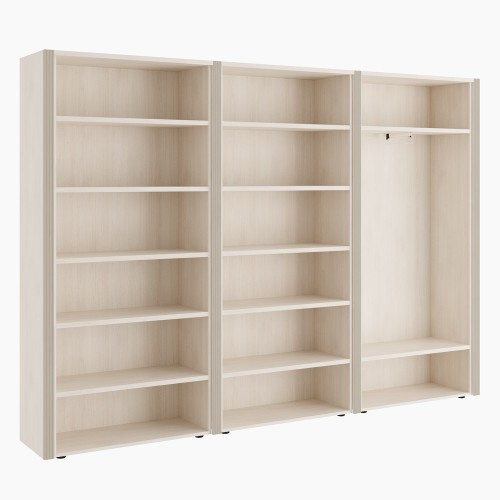 Шкаф для бумаг с гардеробом 6 створок. Композиция 5. Monza