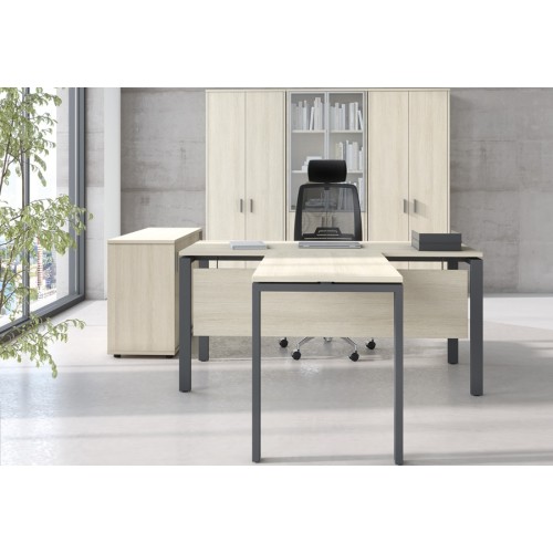 Кабинет руководителя Trend