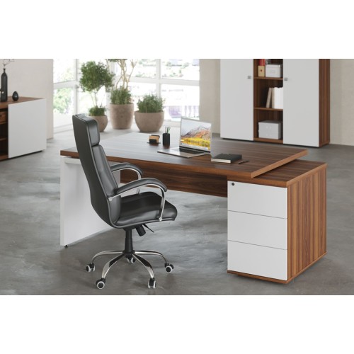 Кабинет руководителя Zion