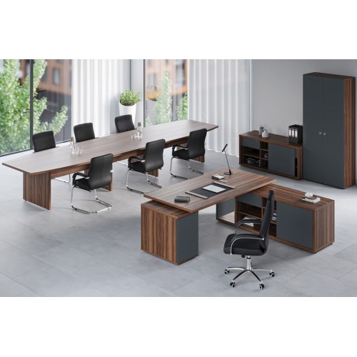 Кабинет руководителя Zion