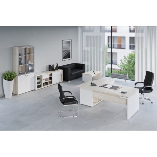 Кабинет руководителя Zion