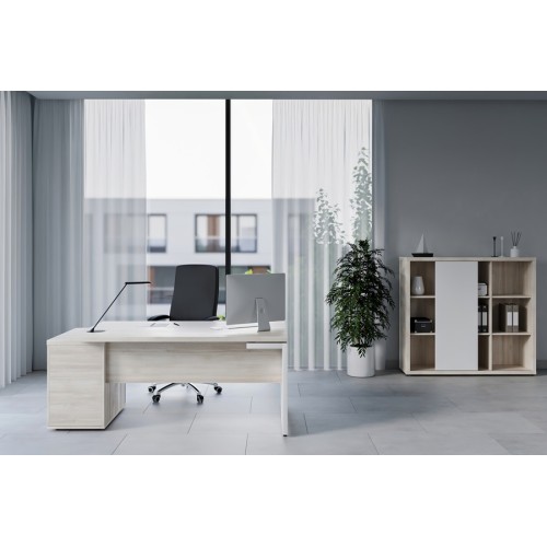 Кабинет руководителя Zion