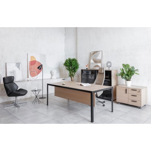 Кабинет руководителя Enzo