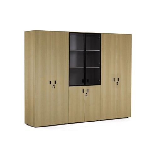 Шкаф комбинированный c гардеробом и для бумаг Enzo