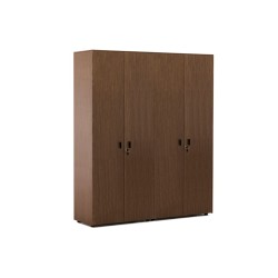 Шкаф для бумаг с гардеробом Exe