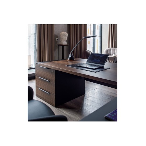 Кабинет руководителя Renz