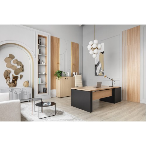 Кабинет руководителя Renz