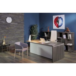 Кабинет руководителя Terra