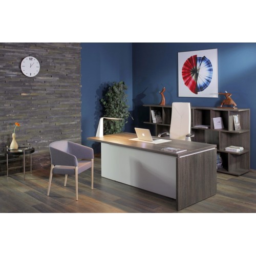 Кабинет руководителя Terra