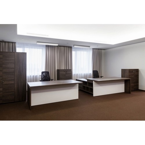 Кабинет руководителя Terra