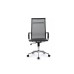 Кресло руководителя Hugo RCH 6001-1SE | Хьюго RCH 6001-1SE  (RV Chair) - сетка