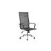 Кресло руководителя Hugo RCH 6001-1SE | Хьюго RCH 6001-1SE  (RV Chair) - сетка