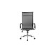 Кресло руководителя Hugo RCH 6001-1SE | Хьюго RCH 6001-1SE  (RV Chair) - сетка