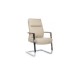Стул для посетителя Leon-SF RCH D916 | Леон-SF RCH D916 (RV Chair)