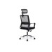 Кресло руководителя Mint RCH M1029HBE/HWE | Минт RCH M1029HBE/HWE (RV Chair) - ткань/сетка