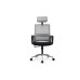 Кресло руководителя Mint RCH M1029HBE/HWE | Минт RCH M1029HBE/HWE (RV Chair) - ткань/сетка