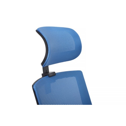 Кресло руководителя Mint RCH M1029HBE/HWE | Минт RCH M1029HBE/HWE (RV Chair) - ткань/сетка