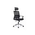 Кресло руководителя Mint RCH M1029HBE/HWE | Минт RCH M1029HBE/HWE (RV Chair) - ткань/сетка