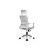 Кресло руководителя Mint RCH M1029HBE/HWE | Минт RCH M1029HBE/HWE (RV Chair) - ткань/сетка