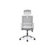 Кресло руководителя Mint RCH M1029HBE/HWE | Минт RCH M1029HBE/HWE (RV Chair) - ткань/сетка
