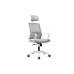 Кресло руководителя Mint RCH P1029HBE/HGE | Минт RCH P1029HBE/HGE (RV Chair) - ткань/сетка