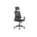 Кресло руководителя Mint RCH P1029HBE/HGE | Минт RCH P1029HBE/HGE (RV Chair) - ткань/сетка